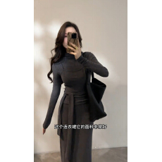 批发长袖假两件半高领长裙连衣裙气质女装<b class='q'>冬</b>季显瘦时尚DT1802