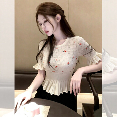 批发韩系高级感刺绣圆领短袖针织衫女夏季新款洋气收腰紧身套头上衣潮