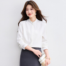 批发实拍 气质立领衬衫女设计感小众2026新款春秋高级感<b class='q'>职业</b>白衬衣