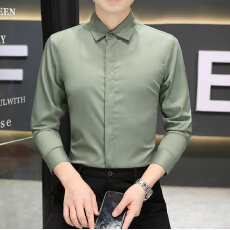 批发高品质<b class='q'>商务</b><b class='q'>休闲</b>秋季男长袖衬衫纯色暗门襟韩版修身免烫弹力男士