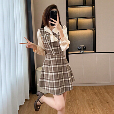 批发千金<b class='q'>连衣裙</b>女2025秋冬季新款法式高级感修身显瘦假两件短裙子