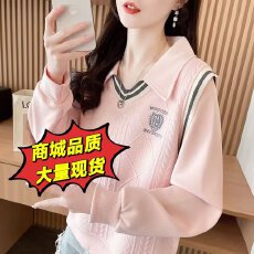 批发卫衣女早春新款刺绣假两件设计感polo领简约套头v领<b class='q'>上衣</b>
