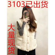 批发韩系小众百搭圆领单排扣羊羔毛马甲女秋冬新款<b class='q'>通勤</b>外套毛绒绒马甲