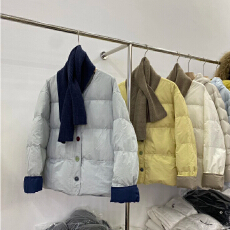 批发白鸭绒韩系温柔气质羽绒服女短款2026秋冬新款小个子撞色圆领外套