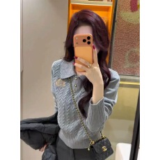 批发韩系Polo领灰色刺绣针织<b class='q'>打底衫</b>女秋冬修身短款毛衣内搭学院风上衣