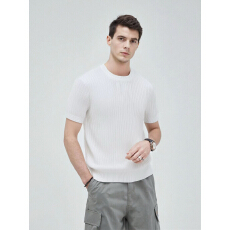 霸道肌肉 意式优雅老钱短袖男士圆领抗条针织休闲商务T恤修身春夏