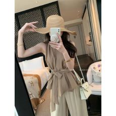 批发小个子休闲百搭设计感V领气质上衣薄款<b class='q'>清凉</b>感小众无袖气质<b class='q'>雪纺衫</b>