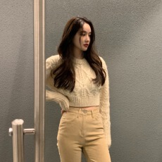 批发有货 <b class='q'>韩国</b>ins气质秋冬新款高腰短款加厚保暖长袖麻花毛衣