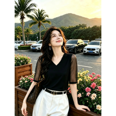 批发妈妈装双层网纱妈妈装中袖上衣洋气小众宽松v领百搭拼接显瘦上衣