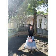 批发实价实拍 重工<b class='q'>网纱</b>秋冬新款波点a字优雅高级感蓝色百褶蛋糕<b class='q'>长裙</b>