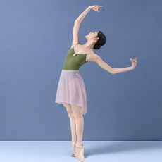 批发网纱半身<b class='q'>裙</b><b class='q'>芭蕾舞</b><b class='q'>裙</b>成人女舞蹈百搭演出纱<b class='q'>裙</b>舞蹈练功服自家工厂