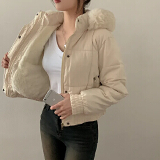 批发韩版连帽面包服毛领短款拉链款新款时尚加厚保暖加绒棉服长袖<b class='q'>外套</b>