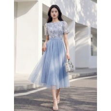 批发<b class='q'>欧洲站</b>2026年春夏新款蓝色网纱<b class='q'>连衣裙</b>女夏短袖刺绣收腰轻奢礼服裙
