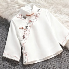 批发新中式国风立领绣花盘扣<b class='q'>夏</b>季新款设计感气质百搭显瘦休闲旗袍上衣