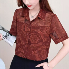 批发现货2025年夏装新款衬衫宽松遮肚上衣<b class='q'>中年女装</b>妈妈洋气小衫女