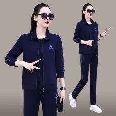 批发中年妈妈运动休闲套装女春秋款2026新款时尚洋气<b class='q'>大码</b>跑步服两件套