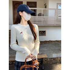 批发实拍实价 秋冬韩版腊肠狗刺绣麻花减龄圆领<b class='q'>北极</b><b class='q'>绒</b>针织衫打底毛衣