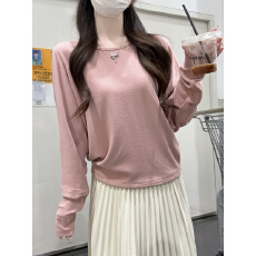 批发实拍实价 秋冬韩版纯欲温柔宽松<b class='q'>百搭</b>圆领羊绒磨毛内搭长袖T恤上衣