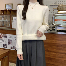 批发实拍实价 秋冬<b class='q'>韩版</b>加绒加厚一体绒半高领安迪绒针织打底衫女毛衣