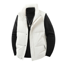 批发跨境直播爆款潮牌冬季无袖立领羽绒马甲<b class='q'>男士</b>新国标高品质保暖外套
