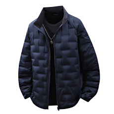 批发跨境<b class='q'>秋</b>冬新款羽绒服立领宽松轻薄超轻短款光板二开款式#90%白鸭绒