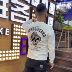 批发印花秋<b class='q'>冬</b>卫衣男士春秋<b class='q'>冬</b>韩版新款圆领宽松打底上衣港风潮流长袖