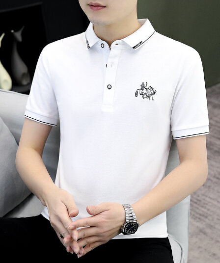여름 얼음 센스 남성 새로운 POLO 셔츠 트렌드 반팔 암살 자수 캐주얼 루즈핏 다용도 티셔츠 폴로 칼라 맨위 티셔츠