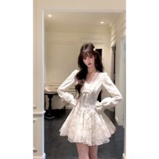 批发法式千金高级感蕾丝v领长袖<b class='q'>连衣裙</b>秋季新款超仙收腰公主<b class='q'>蓬蓬</b>裙女