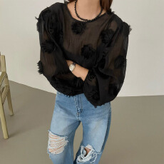 批发<b class='q'>韩国</b>chic春夏新款百搭微透立体花朵衬衫