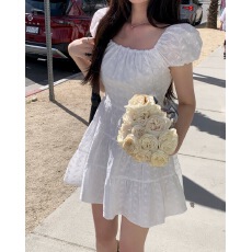 批发韩国chic夏季新款甜美蕾丝刺绣可爱短袖<b class='q'>连衣裙</b>