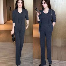 批发爆款<b class='q'>正品</b>时尚休闲套装2025秋季新款洋气显瘦背心外套阔腿裤三件套