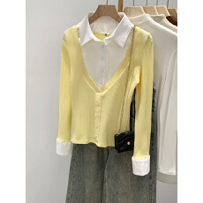 批发实拍图<b class='q'>衬衫</b>领拼接撞色假两件打底衫女秋冬2025新款内搭高级感上衣