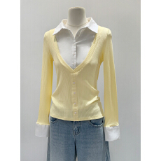 批发实拍图<b class='q'>衬衫</b>领拼接撞色假两件打底衫女秋冬2025新款内搭高级感上衣