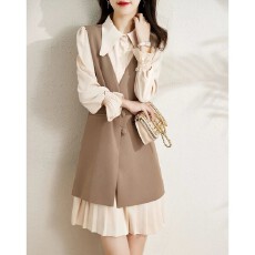 批发<b class='q'>秋</b>季连衣裙马甲两件套2026新遮肚子宽松显瘦通勤高档套装裙女