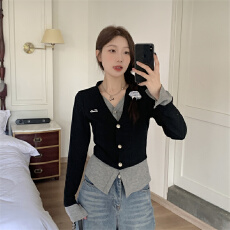 批发实拍大码女装秋<b class='q'>冬</b>新款设计感撞色叠穿拼接假两件V领小众长袖上衣