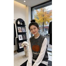 批发2025秋冬新款韩系宽松圆领针织马甲女百搭无袖背心学生打底衫上衣