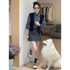 批发图书馆早秋新款韩版时尚百搭休闲格子衬衫加半身裙套装