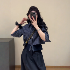 批发小个子短款掐腰条纹<b class='q'>衬衫</b>女新款爆款巨好看复古长袖单排扣上衣