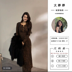 批发秋冬新款时尚<b class='q'>豹纹</b>复古显瘦修身轻奢<b class='q'>连衣裙</b>长袖裙子DT1859