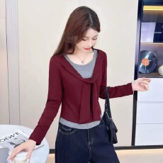 批发秋季设计感小众<b class='q'>休闲</b>百搭上衣拼接撞色披肩假两件内搭上衣