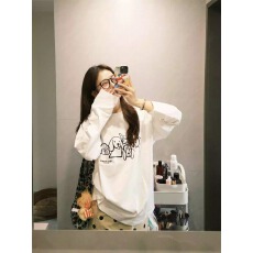 批发<b class='q'>韩国</b>外贸 21支纯棉-210克100%棉 秋装长袖T恤女宽松上衣印花