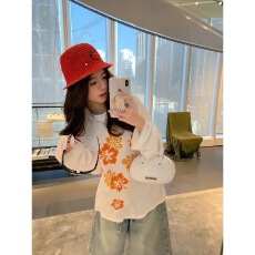 批发<b class='q'>韩国</b>外贸 21支纯棉-210克100%棉 秋装长袖T恤女宽松上衣印花