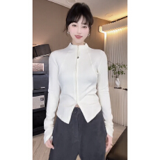 批发韩版拉链半高领显瘦短<b class='q'>外套</b>女2025秋冬新款气质百搭修身长袖T恤衫