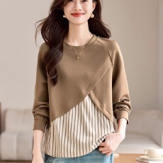 批发<b class='q'>卫衣</b>衬衫女款春大码打底衫胖mm显瘦遮肚子设计感上衣