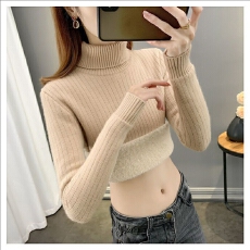 批发抖音天猫质量秋冬<b class='q'>新款</b>高领加绒<b class='q'>毛衣</b>加厚一体绒内搭保暖打底针织衫