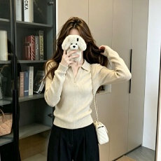 批发实拍polo领<b class='q'>针织</b>衫女秋季新款修身内搭高级感设计感<b class='q'>打底衫</b>上衣