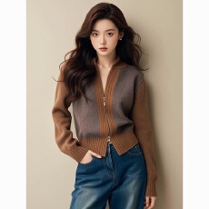 批发【<b class='q'>品牌</b>大码】胖mm高级感小香风撞色针织开衫女秋冬季新款毛衣外套