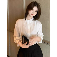 批发高级感立领压褶白色衬衫女秋季御姐清熟风上衣