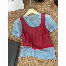 批发实拍韩版休闲假两件短袖t恤-<b class='q'>夏</b>季新款薄款高级感小众气质减龄上衣