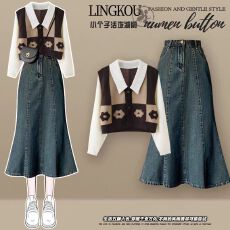 批发秋季套装女2025新款时尚洋气衬衫上衣搭宽松显瘦牛仔半身裙两件套